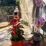 Casa Da Quinta Costa D'alem Geres Ferienhaus Terras de Bouro