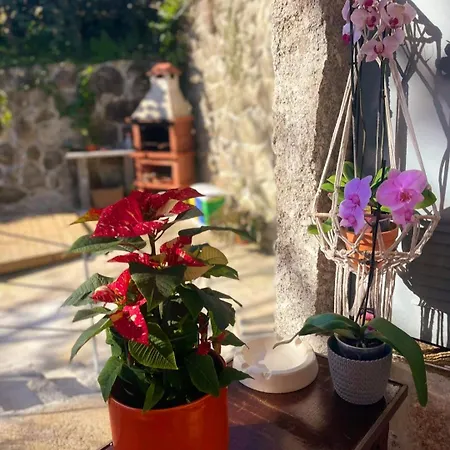 Casa Da Quinta Costa D'alem Geres Дом отдыха Терраш-ди-Бору