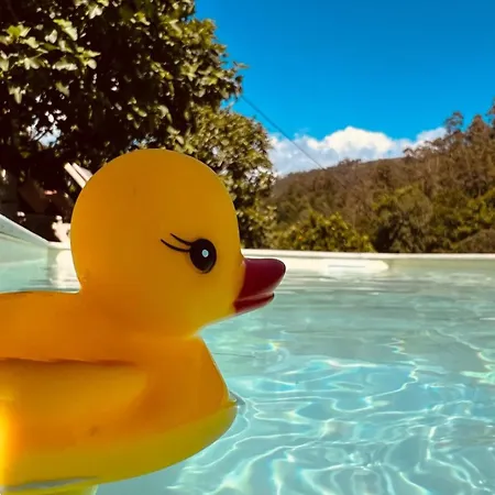 Casa Da Quinta Costa D'alem Geres טראס דה בורו