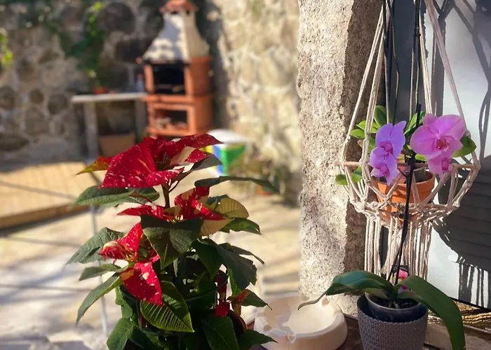 Casa Da Quinta Costa D'alem Geres Σπίτι διακοπών Terras de Bouro